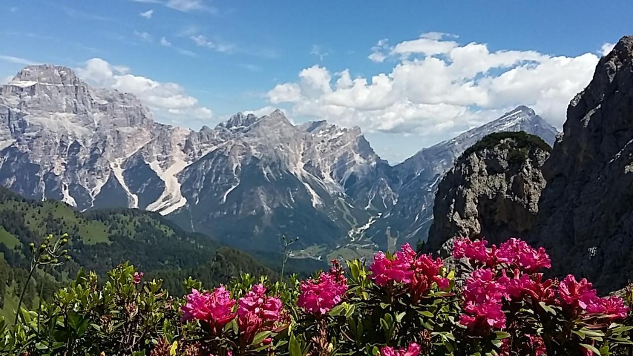 Appartamenti Da Nica E Diego Borca di Cadore Bagian luar foto